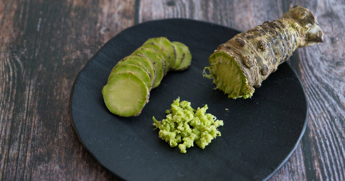 Fresh Wasabi rhizomes
