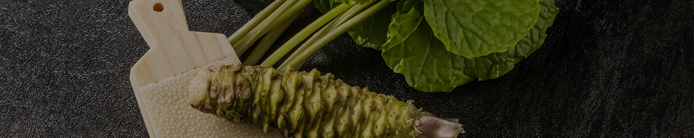 Fresh wasabi rhizome, stems and leaves with a shark skin grater
