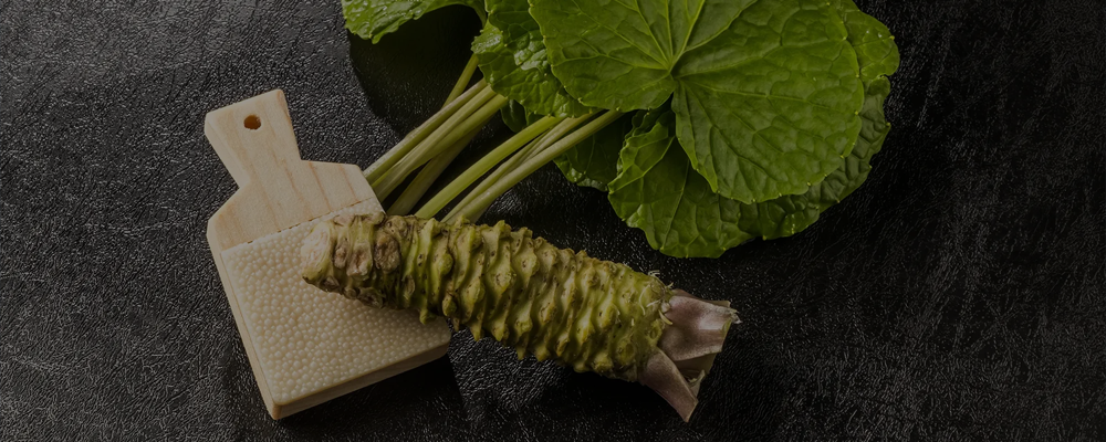 fresh wasabi rhizome, stems and leves with shark skin grater