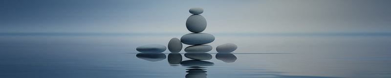 NutraSabi logo on a calm blue water background with cairns