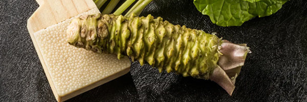 Fresh Wasabi Rhizomes, stems and leaves with shark skin grater
