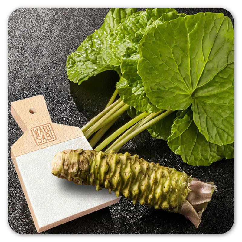 Fresh Wasabi Rhizomes, stems and leaves with shark skin grater