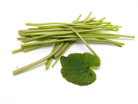 Fresh wasabi petioles (stems)