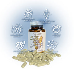 GinSabi™ Buy 3 Bundle - Save $90