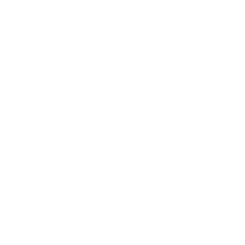 Most Orders ship in 24 Hours Icon