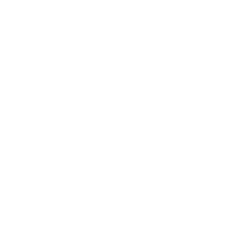 Quality Guarantee Icon