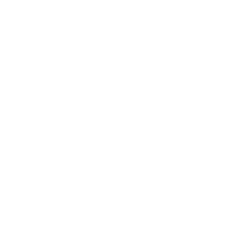 Satisfaction Assured Icon