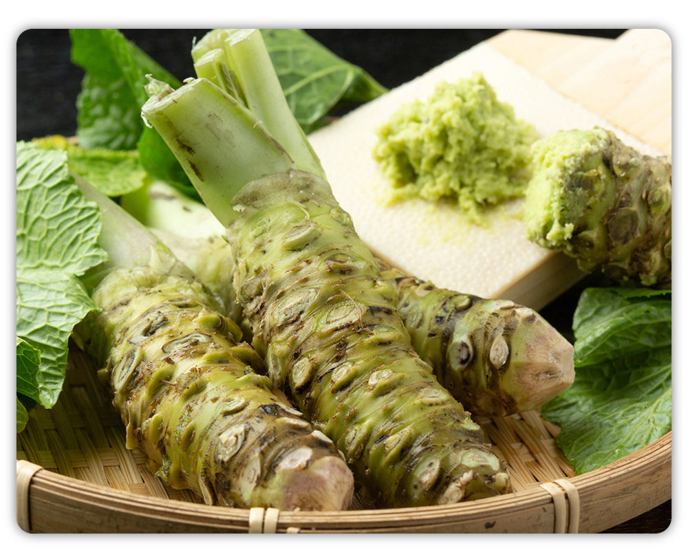 Fresh Wasabi rhizomes and wasabi paste