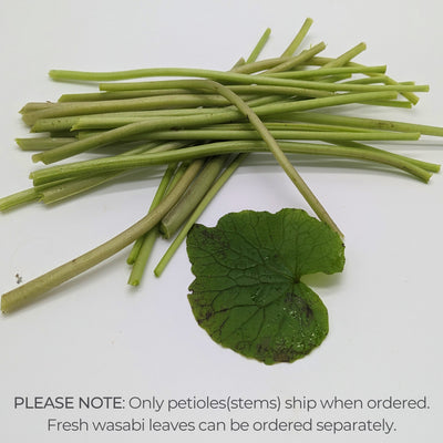 Fresh wasabi petioles (stems)