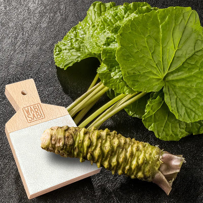 Oroshi shark skin wasabi rhizome grater with fresh wasabi