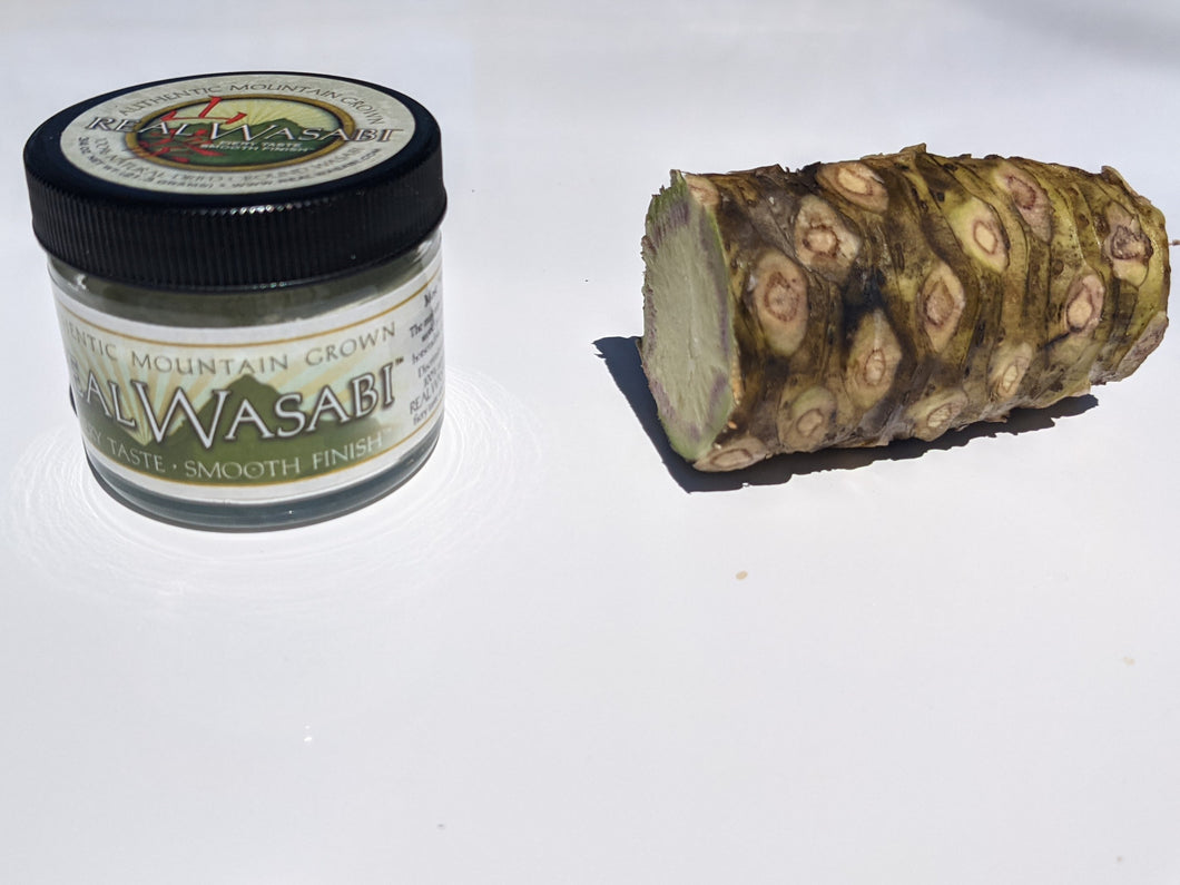 Try & Compare Real Wasabi Sampler